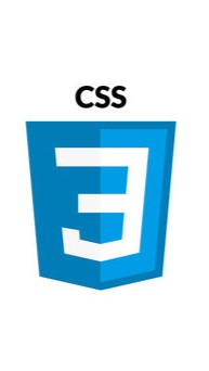 CSS Logo